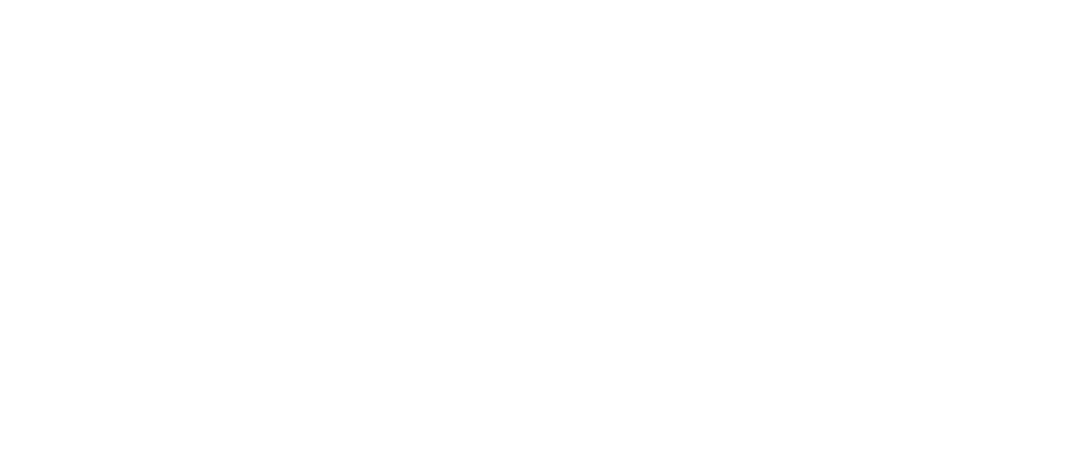 Ligconcert Einaudi ft Zimmer